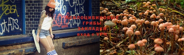 СК Баксан