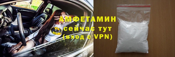 шишки Тайга
